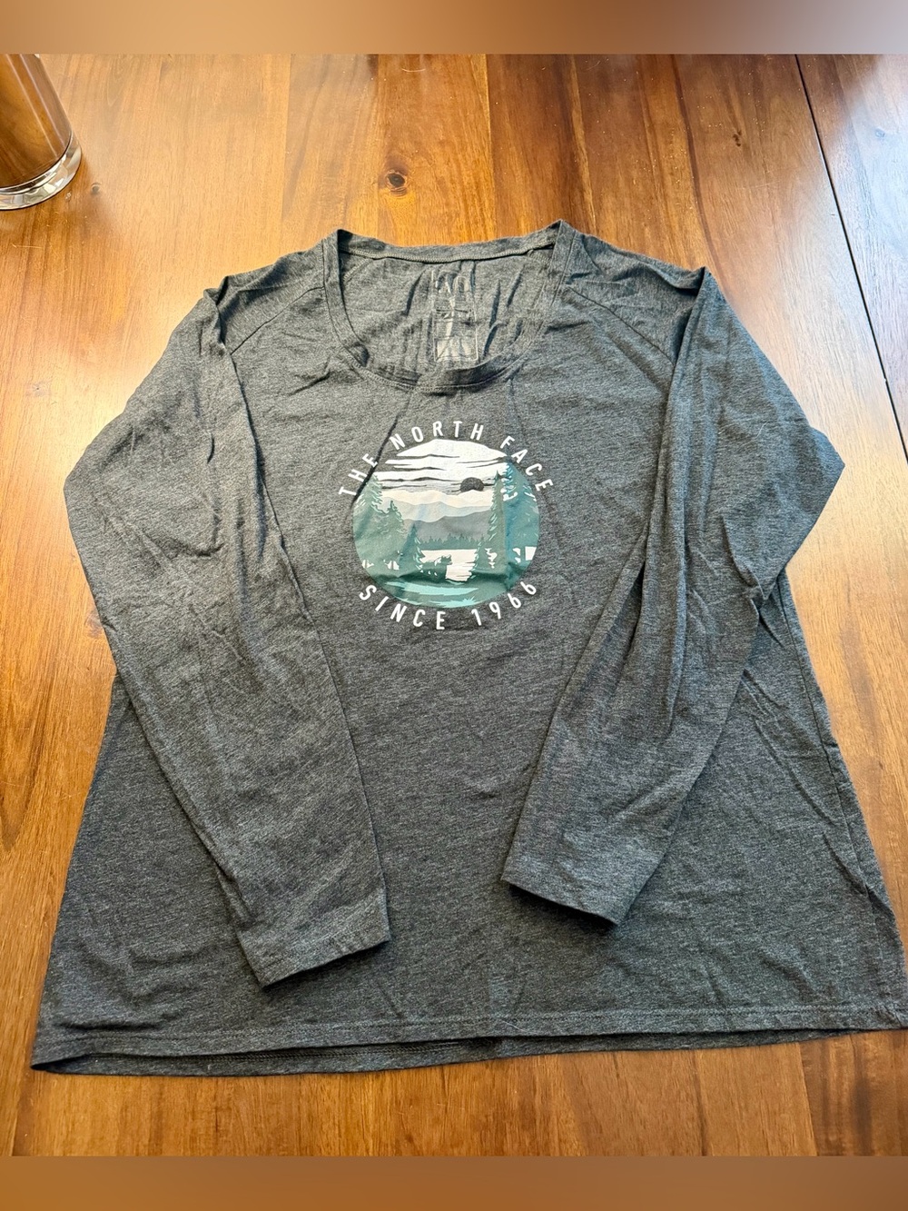 The North Face Long Sleeve Graphic Tee - Charcoal with Green Print